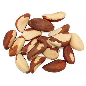 Nueces de Brasil con cáscara - Tamaño grande, deshidratadas. Tamaño de las nueces con cáscara: 45-50 nueces por libra. - Product Image 1