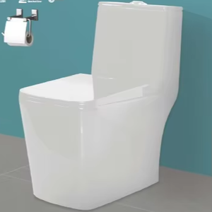 WC monobloc de 750x365x660 mm avec siphon sans rebord 5D et siphon en S de 225 mm ou 300 mm. - Product Image 1