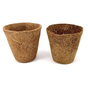 Mini macetas con sistema de cultivo hidropónico, semillas de coco, precio barato - Product Image 2