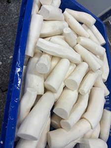 Piezas de Raíz de Yuca Congeladas, Proceso de Congelación IQF, Grado A, para Cocinar, Procesamiento de Alimentos, Venta al Por Mayor, Exportación - Product Image 5