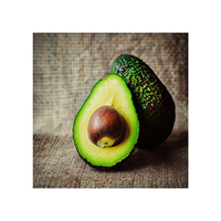 Verse avocado's, Hass avocado's te koop, rijke groene premium tropische avocado's uit Peru, verpakt in doos, hoogwaardige kwaliteit.