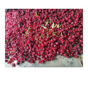Fleur d'hibiscus du Vietnam séchée naturellement pour le thé d'hibiscus, les boissons et la fabrication alimentaire - Product Image 6