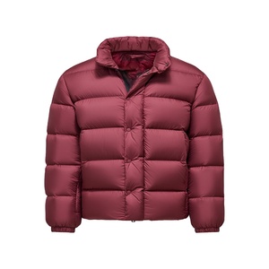 <b>Fleece</b> Puffer Stand Collar Front Logo Men Plus Waterproof Windproof Eco-Friendly 300g Breathable Casual Winter <b>Jacket</b> Pockets - Product Image 1