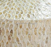 Table basse artisanale unique en nacre, incrustation de coquillages faite à la main, durable, moderne, élégante, meuble de déclaration personnalisable pour la maison