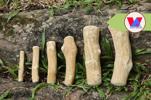 DISPONIBLE: Juguete de Madera Natural para Perros, Resistente, para Aliviar el Aburrimiento y Cuidado Dental, Empacado al Vacío, Todos los Tamaños - Product Image 5