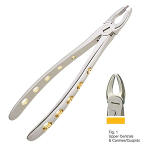 Pinzas de Extracción de Acero Inoxidable para Puentes Óseos, Patrón Inglés, Centrales Superiores, Acabado Pulido Satinado, Manual, Venta al por Mayor - Product Image 4