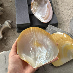 ถาดเปลือกหอยธรรมชาติลดราคาพิเศษ จานมุกขัดเงา จานใส่ไข่ปลาคาเวียร์ ของขวัญสุดหรู ขายส่ง - Product Image 1