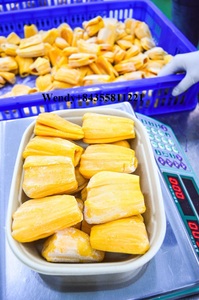 ขนุนแช่แข็งคุณภาพดีเสมอต้นเสมอปลายพร้อมส่งออก - Product Image 4