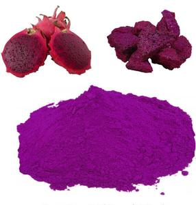 Poudre de fruit du dragon de qualité supérieure en gros, ingrédient de collation vietnamien, approvisionnement en vrac, prix compétitif - Product Image 1