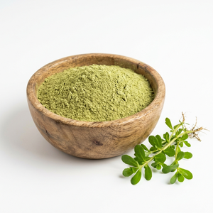 Poudre de Brahmi de qualité supérieure, poudre d'herbes naturelles pour fournisseur et exportateur en gros - Product Image 2