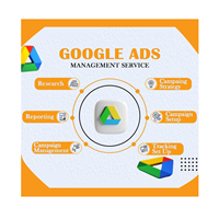 Gestión Integral de Google Ads con Seguimiento de Rendimiento y Optimización Continua, Versión para Internet, Compatible con MAC OS