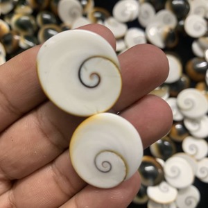 Cabochons en Coquille Œil de Shiva Naturelle de Qualité Supérieure, Coupe Ovale - Pierres Libres Certifiées IGI, Taille Unique, Collection en Gros pour la Fabrication de Bijoux - Product Image 3