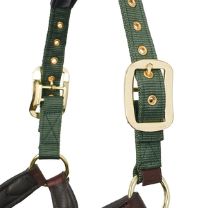 Harnais en cuir pour cheval avec boucles en laiton et sangle verte pour l'équitation et l'entraînement - Product Image 4