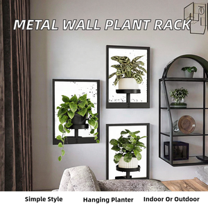 Support de Plante Mural et au Sol en Métal de Haute Qualité pour Décoration Intérieure/Extérieure, Jardinière Suspendue, MOQ 10 Pièces - Product Image 2