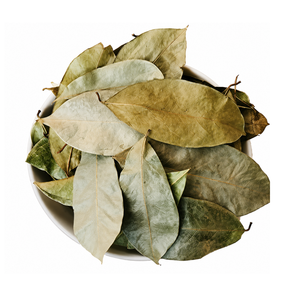 Dried Soursop Leaves Black <b>Tea</b> Organic Vietnam 25 <b>Tea</b> Bags/<b>Box</b> Vacuum Pack Broken Health <b>Tea</b> - Product Image 6