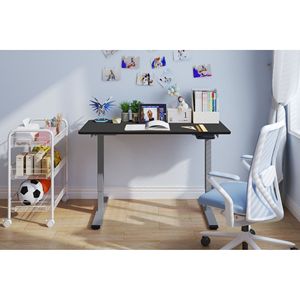Scrivania Elettrica Regolabile in Altezza 48 x 24 Pollici, Postazione di Lavoro per Casa e Ufficio, Telaio Grigio, Scrivania Sit-Stand - Product Image 1