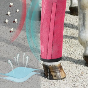 รองเท้ากันแมลงวันสำหรับม้า ยี่ห้อ BRAND ZONE แบบปรับได้ ระบายอากาศได้ดี ป้องกันขาสำหรับม้า ผู้ค้าส่ง อุปกรณ์สำหรับม้า - Product Image 5