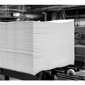 Pâte de bois blanchie pure pour la production de papier hygiénique et de serviettes absorbantes - Product Image 1