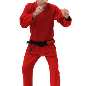 Nuevo Uniforme de Karate de Algodón de Alta Calidad, Hecho en Japón, Ligero, Hermoso Color Blanco, Envío Rápido - Product Image 1