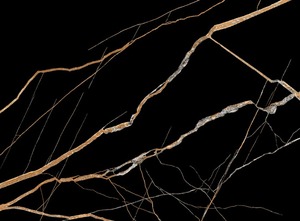 กระเบื้องปูพื้นและผนังพอร์ซเลนสีดำเงาสูงแบบโมเดิร์น หลายขนาด ขัดเงา สำหรับตกแต่งภายในโรงแรมหรูและบ้าน - Product Image 2