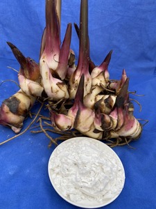 Poudre d'amidon d'arrowroot biologique la plus vendue, goût naturel pour l'alimentation et les ingrédients, emballée en sachet, provenant du Vietnam - Product Image 5