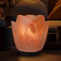 Lámparas de Sal del Himalaya Talladas Ecológicas, Estilos de Flores, Animales y Ángeles, Embalaje Personalizable, Venta al Por Mayor, Exportación a Pakistán