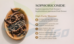 HGO Factory Direct Supply Pure Natural Sophora japonica Fruit <b>Extract</b> / Styphnolobium japonicum Fruit <b>Extract</b> Sophoricoside 13% - Product Image 3