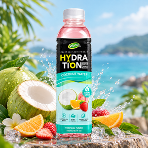 Proveedor de Bebidas Hidratantes de Agua de Coco Tropical Punch en Botellas de 500 ml al por Mayor en Vietnam para Soluciones OEM, ODM y de Marca Privada - Product Image 2