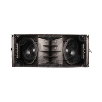 Module Line Array Bi-Amplifié à Double Woofer en Néodyme avec DSP Numérique 800W en Alliage de Titane pour Spectacles Itinérants et Sonorisation de Sites Fixes