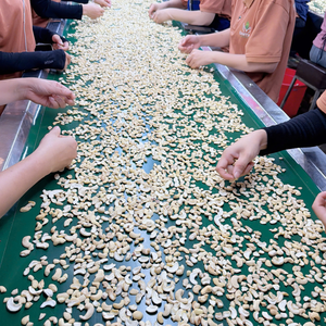 Santigo Cashew <b>Nuts</b> Kaju Broken Kaju In Bulk Custom Service Available <b>Kernel</b> Cashew <b>Nuts</b> - Product Image 6