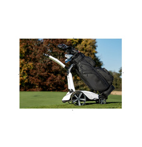 MEJOR PRECIO DE DESCUENTO EN S__te w art Golf, Carro de Golf Eléctrico - Product Image 1