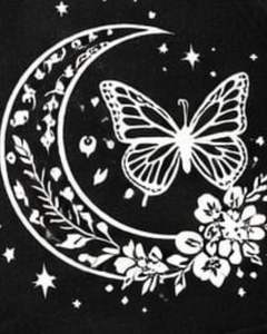 Shorts en molleton noirs personnalisés pour femmes avec imprimé papillon et lune, taille élastique, décontractés, été, fabricant sur mesure, OEM, approvisionnement en gros - Product Image 2