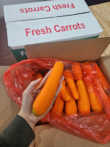 Carotte congelée sucrée organique de haute qualité du Vietnam pour l'exportation utilisation de l'industrie alimentaire - Product Image 6