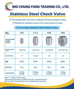 Vanne de retenue à ressort 2 voies BSP 3 pouces en SUS304 avec siège en PTFE pour la protection du débit de la pompe - Product Image 6