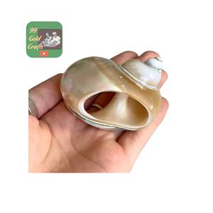 Bulk Buy Vietnam Natural Seashell Napkin <b>Ring</b> OEM Custom Design for Middle East Market Direct Factory <b>Cheap</b> Rate - Product Image 1
