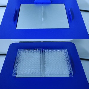 Incubateur de microplaques BIOBASE CHINA BJPX-DH2 +5 ° C~90 ° Incubateur de plaques <span class=keywords><strong>ELISA</strong></span> pour laboratoire avec fluctuations de température de 0,5°C - Product Image 5