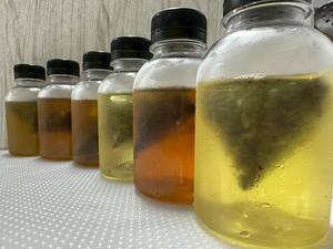 Sachets de thé Genmaicha Miboba avec riz torréfié - Product Image 3