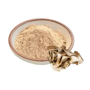 ผงเห็ดไมตาเกะบริสุทธิ์ ขายส่ง ผงสมุนไพรธรรมชาติ Grifola Frondosa ซูเปอร์ฟู้ด เพื่อเสริมสร้างภูมิคุ้มกันและใช้เป็นสมุนไพรเสริมอาหาร - Product Image 3
