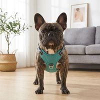 Collier Réfléchissant Durable Anti-Traction pour Chien, Harnais Rembourré Doux en Maille Respirante en Nylon, Poignée de Contrôle Facile, Tailles Moyenne et Grande