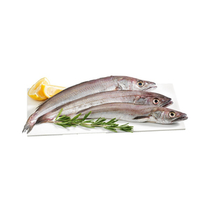 ปลาเฮคแช่แข็งพร้อมส่งออก จำหน่ายจำนวนมาก - Product Image 1