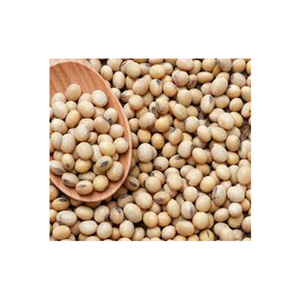 Soja riche en protéines en vrac pour les fabricants d'aliments pour animaux et les entreprises agroalimentaires - Product Image 3