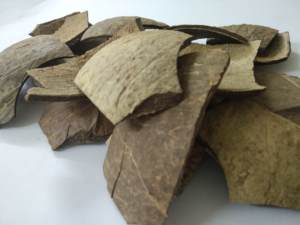 Vietnam Manufacturer Raw <b>Coconut</b> <b>Shell</b> Bulk Natural <b>Coconut</b> <b>Shell</b> for Craft Activated Carbon Export Supply - Product Image 3