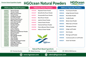 HGO Factory Direct Supply Natural Beet <b>Root</b> Powder (Food Grade) Vegetable Powder <b>Spray</b> Drying or Freeze-dried Beetroot Powder - Product Image 2