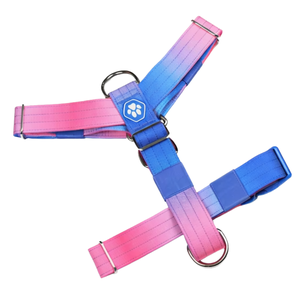 Comfort Control No Pull Dog Harness Snow Cone Colorway Soft Padding Adjustable Fit with Front Leash Clip for Dogs - Product Image 1