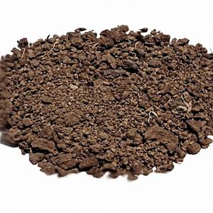 Fournisseur indien d'engrais en poudre de vermicompost biologique pour l'agriculture, destiné aux plantations de dattes au Koweït, disponible en sacs de 10 et 20 kg. - Product Image 2