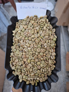 Prix compétitif, grains de café vert ARABICA et ROBUSTA de haute qualité, propres, pour torréfaction, processus de lavage complet, emballés en 60 kg/PP - Product Image 3