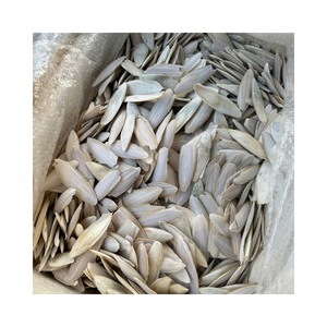 Os de seiche en gros pour fournitures d'aviaries, éleveurs d'oiseaux et magasins d'animaux - Product Image 5