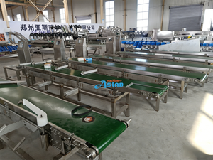Báscula clasificadora de peso para cintas transportadoras industriales Aslan, máquina clasificadora y seleccionadora de peso para pollos y patos en granjas avícolas - Product Image 5