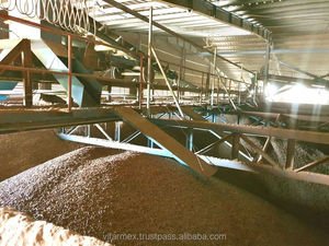 Barras de Biomasa de Madera de Pino y Roble de Alta Energía, Bajo Contenido de Cenizas (2%), Humedad (6%), Densidad (600 a 800 kg por m3) - Product Image 3