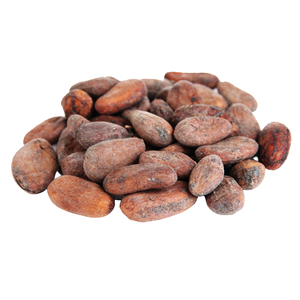 Granos de Cacao de la Mejor Calidad en Venta a Precio Económico, Granos de Cacao al por Mayor - Product Image 5
